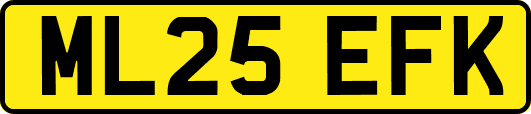 ML25EFK
