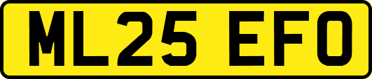 ML25EFO