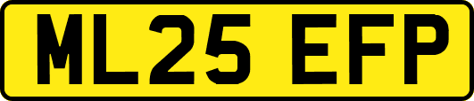 ML25EFP
