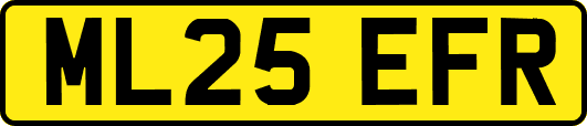 ML25EFR