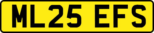 ML25EFS