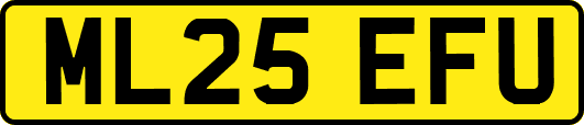 ML25EFU