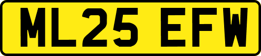 ML25EFW