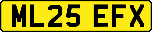 ML25EFX