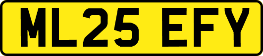 ML25EFY
