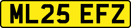 ML25EFZ
