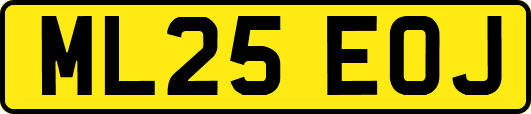 ML25EOJ