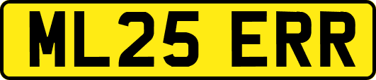 ML25ERR
