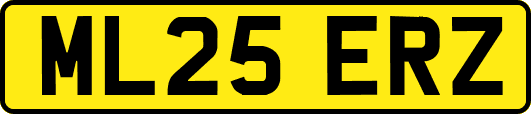ML25ERZ