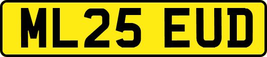 ML25EUD