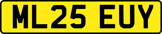 ML25EUY