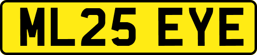 ML25EYE