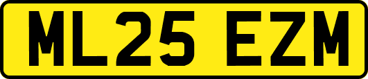 ML25EZM