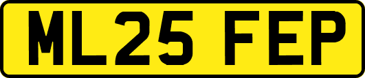 ML25FEP
