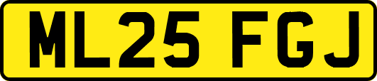 ML25FGJ