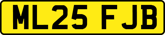 ML25FJB