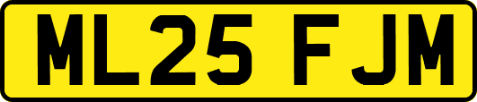 ML25FJM