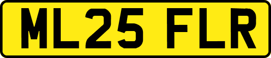 ML25FLR