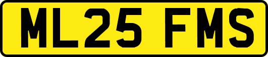 ML25FMS