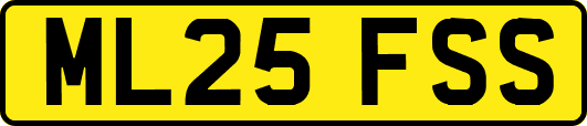 ML25FSS