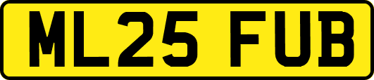 ML25FUB