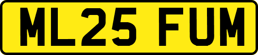 ML25FUM
