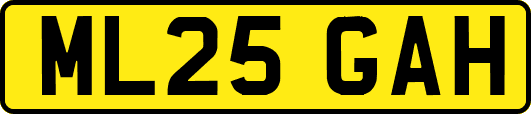 ML25GAH