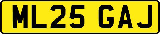 ML25GAJ