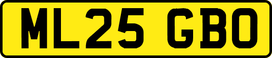 ML25GBO