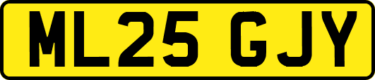 ML25GJY