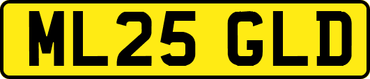 ML25GLD