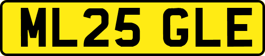 ML25GLE