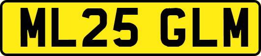 ML25GLM