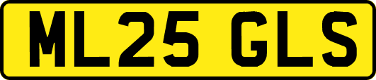 ML25GLS