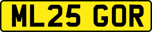 ML25GOR