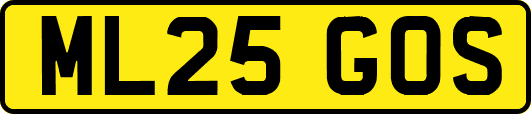 ML25GOS