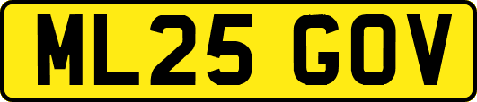 ML25GOV