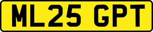 ML25GPT