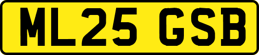 ML25GSB