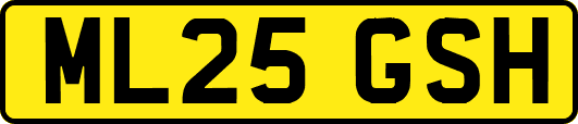 ML25GSH