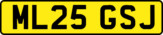 ML25GSJ