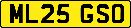 ML25GSO