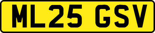 ML25GSV