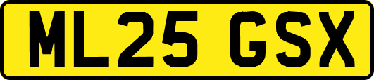 ML25GSX