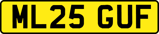 ML25GUF