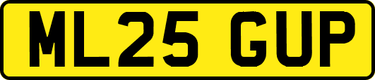 ML25GUP