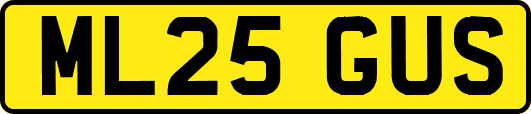 ML25GUS