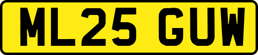 ML25GUW