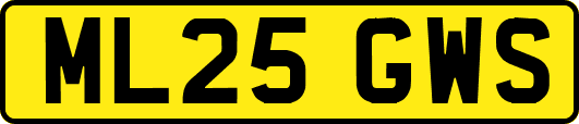 ML25GWS