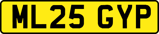 ML25GYP